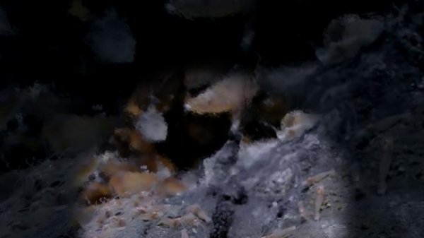 013336mwsu5jx9l7u9pu7h.png