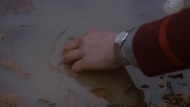 03456755921085900649_thumb.png