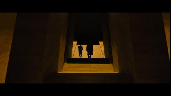 141538hhhhk5kho7b7hhzw.png