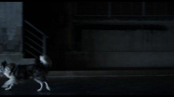 231633p9r8mormnzv7ggiu.png