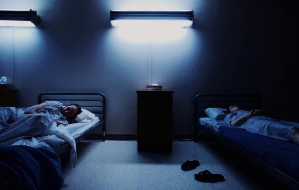 204414fxrrabap0v9pv2vx.png