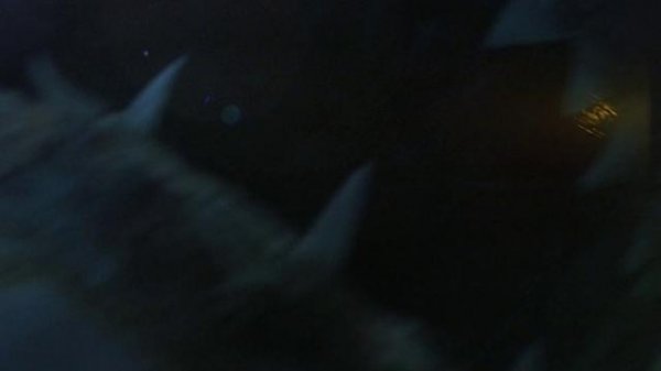 183543si1ywiyq9w49w4rh.png