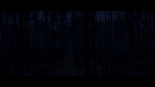 212156msxhq6hfk68eweb8.png