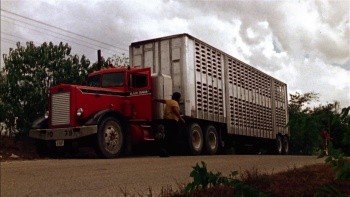 202109hckd71rhj01djk1r.jpg