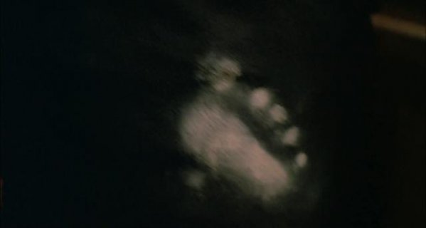 220543rtynt2txg2yxztr2.png