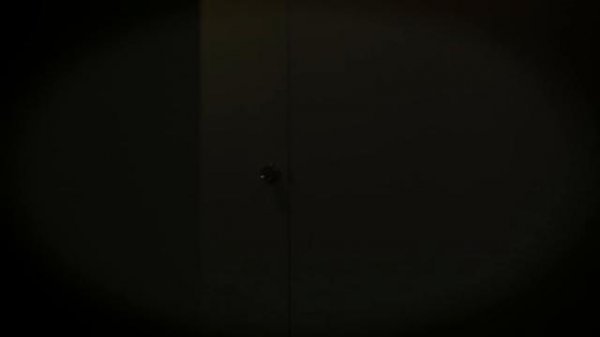 010621f918cv484r2h24o2.jpg