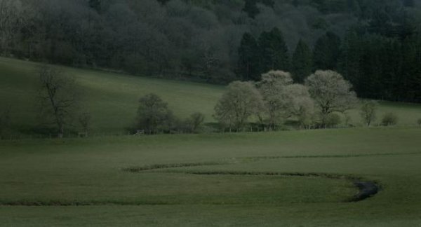 051949fbzg47ym6dqh7n8n.jpg
