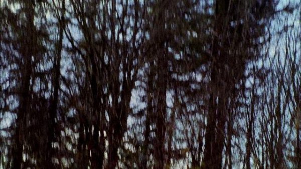 080824zrd54fip5buw244w.jpg