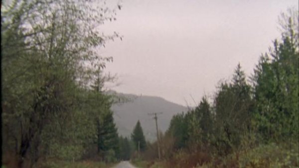 080827uiixigigiqtxwiqq.jpg