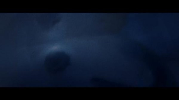 171159tkb7spinxbizbzj7.jpg