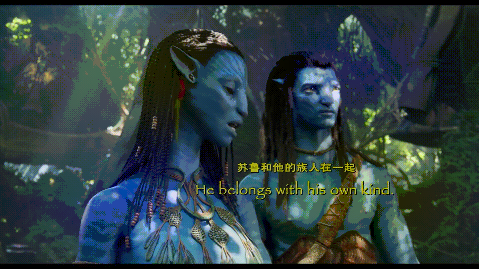 阿凡达2：水之道[DIY全景声国语/国配对白/简繁英四特效字幕/定制菜单].Avatar.The.Way.of.Water.2022.BluRay.1080p.AVC.Atmos.TrueHD7.1-TAG 53.11GB-4.gif