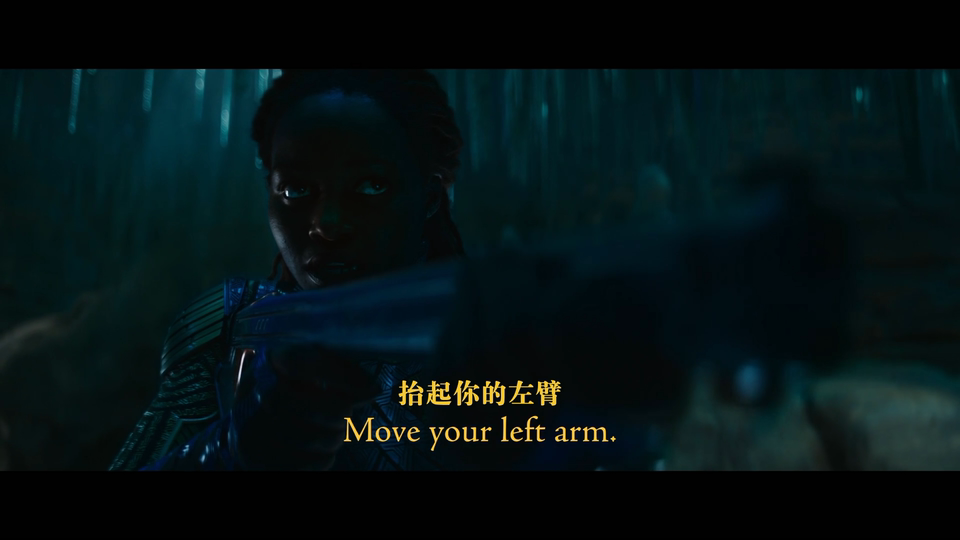 黑豹2：瓦干达万岁[简繁英特效字幕/定制菜单].Black.Panther.Wakanda.Forever.2022.UHD.BluRay.2160p.Atmos.TrueHD7.1.HEVC-TAG 57.66GB-8.png