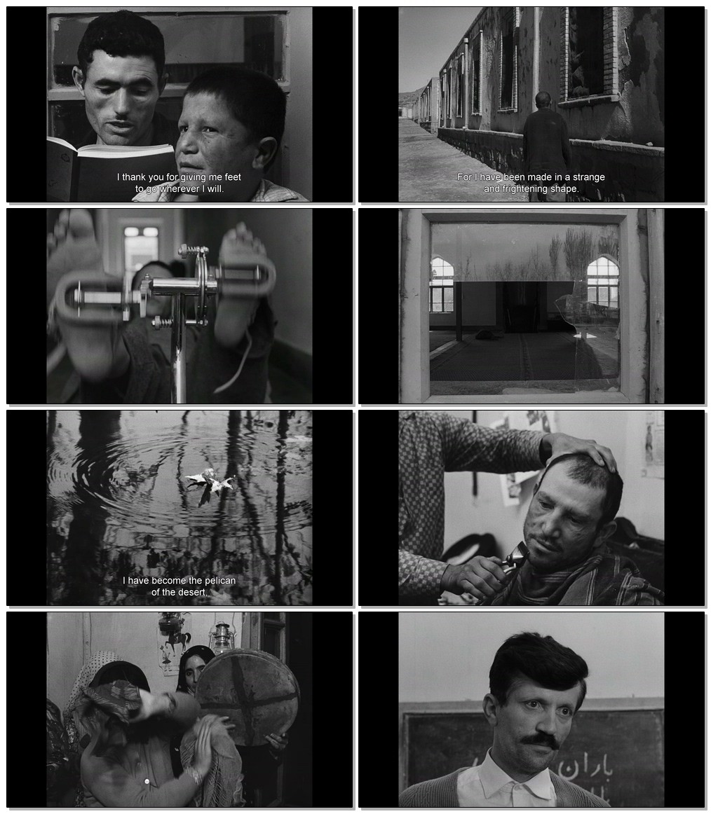 wSxdr6.jpg