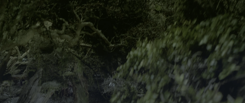 指环王3:王者无敌 剧场版/加长版4K套装[UHD原盘中字 DIY THD次世代国语/国配简繁特效字幕/双语特效字幕].The.Lord.of.the.Rings.The.Return.of.the.King.2003.2160p.UHD.Blu-ray.HEVC.TrueHD.Atmos.7.1-TAG 254.53GB-8.gif