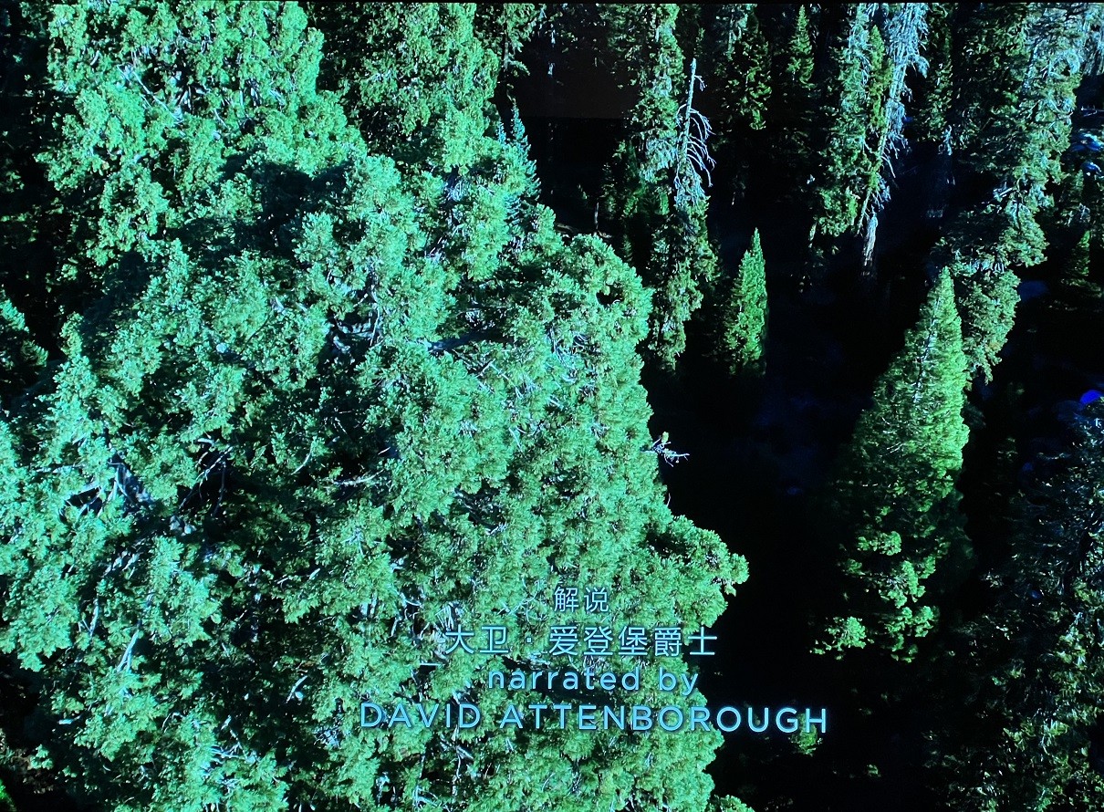 绿色星球 [英版原盘 DIY简繁/双语特效字幕].The.Green.Planet.2022.GBR.UHD.Blu-ray.Repack.2160p.HEVC.TrueHD.7.1.Atmos-TAG 121.72GB-5.jpg