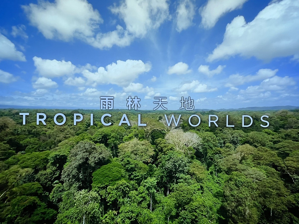 绿色星球 [英版原盘 DIY简繁/双语特效字幕].The.Green.Planet.2022.GBR.UHD.Blu-ray.Repack.2160p.HEVC.TrueHD.7.1.Atmos-TAG 121.72GB-6.jpg