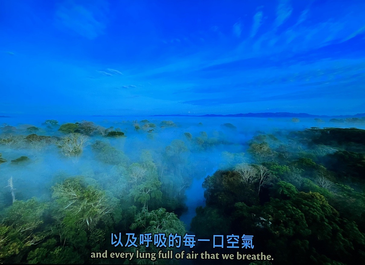 绿色星球 [英版原盘 DIY简繁/双语特效字幕].The.Green.Planet.2022.GBR.UHD.Blu-ray.Repack.2160p.HEVC.TrueHD.7.1.Atmos-TAG 121.72GB-8.jpg