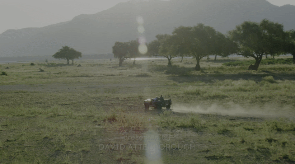 [2018][英国][记录]王朝 第一季[全5集] [美版DIY次世代国语 国配/双语/注释特效字幕].Dynasties.S01.2018.2160p.UHD.USA.Blu-ray.HEVC.Atmos.TrueHD.7.1-TAG 122.86GB-3.gif