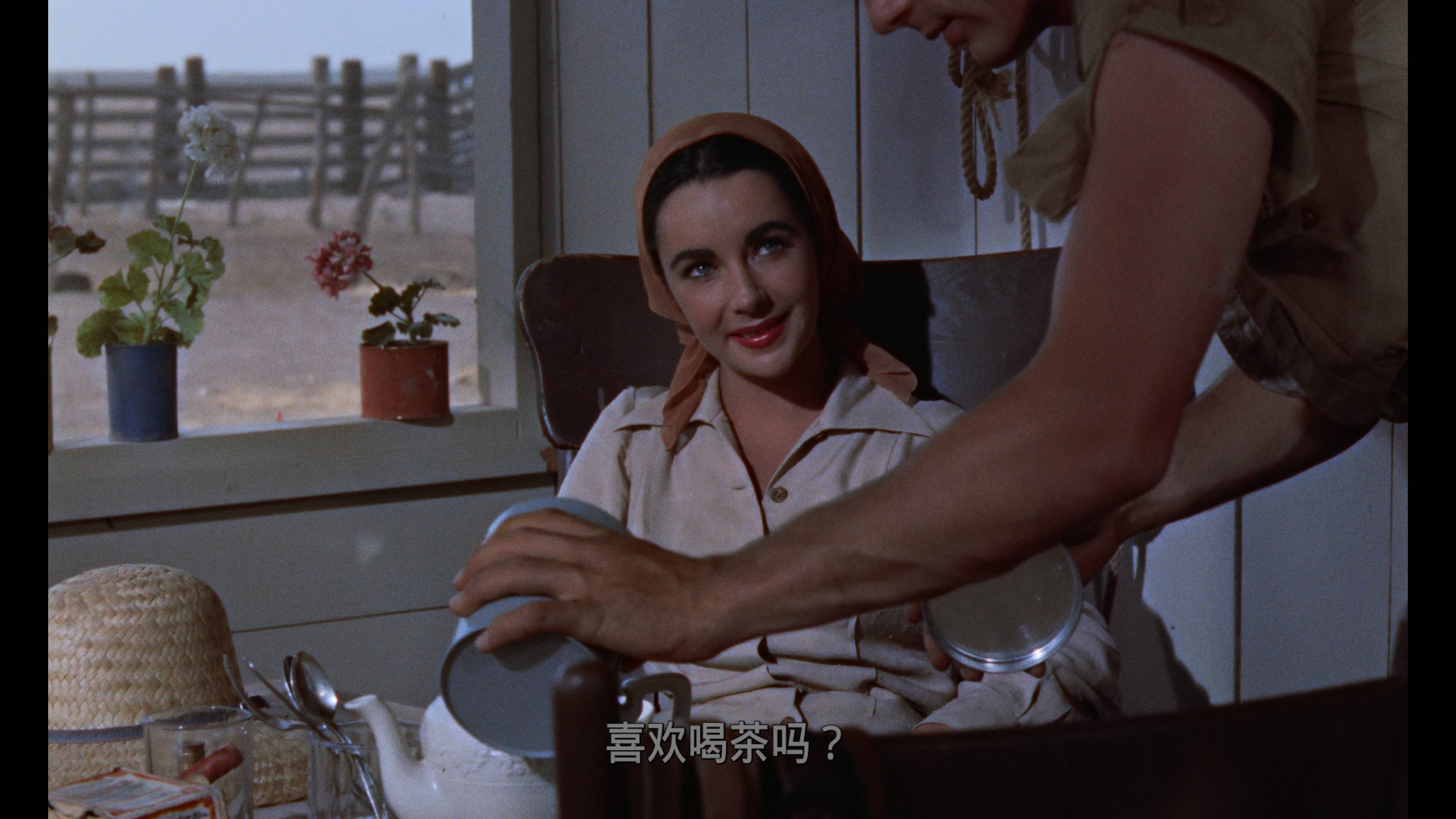 巨人传 [美版原盘 DIY国配+官译简繁/双语字幕].Giant.1956.V2.UHD.BluRay.2160p.HEVC.DTS-HD.MA.2.0-TAG 91.22GB-5.jpg