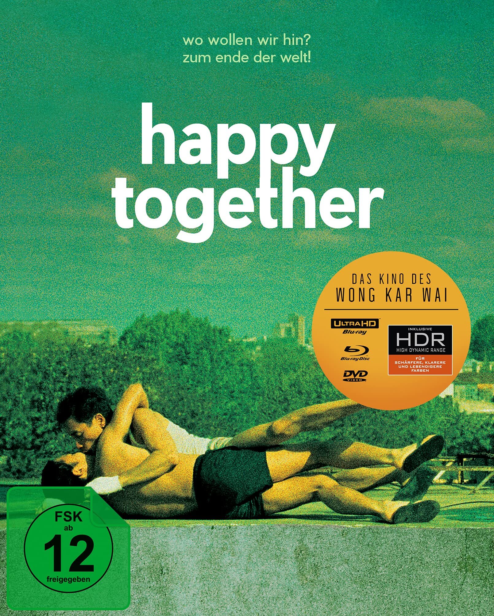 春光乍泄 [UHD原盘 DIY 粤语/中文字幕].Happy.Together.1997.UHD.Blu-ray.2160p.HEVC.DTS-HD.MA.5.1-TAG 58.39GB-1.jpg