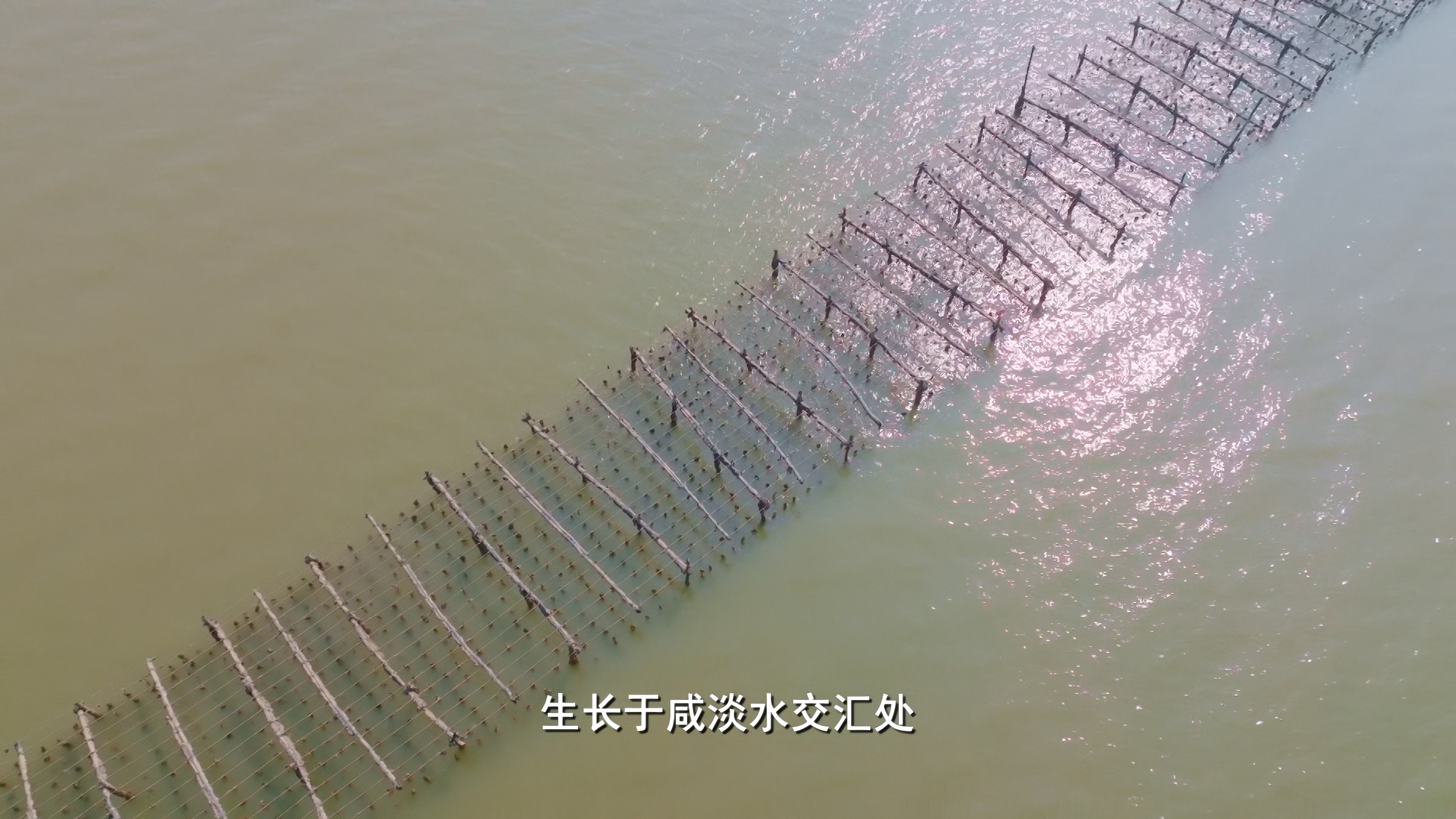 [2022][中国][纪录]老广的味道 第七季[全6集].A.Bite.Of.Guangdong.S07.2022.2160p.HQ.WEB-DL.AAC2.0.H.265-TAG 35.36GB-4.jpg