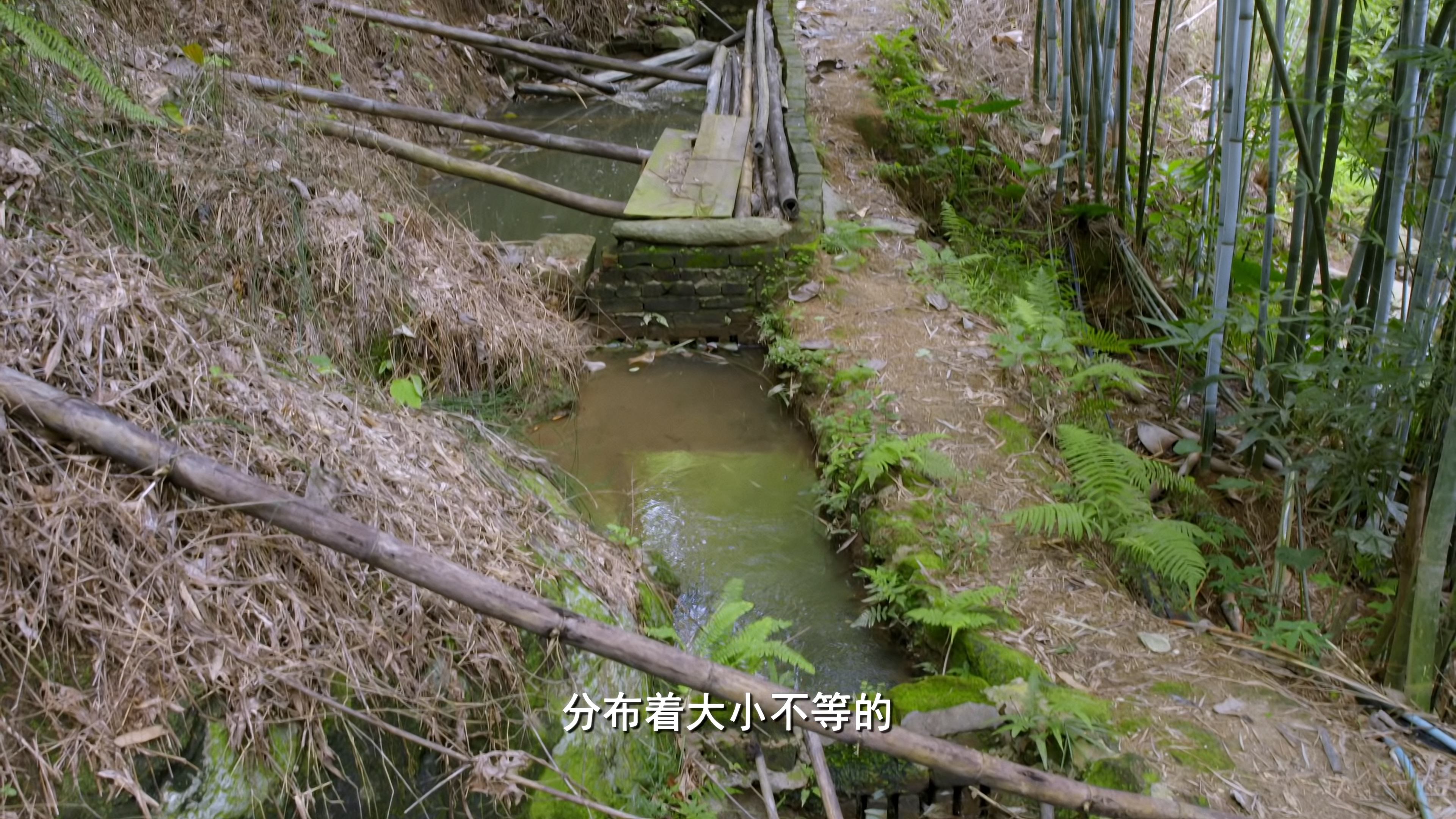 [2022][中国][纪录]老广的味道 第七季[全6集].A.Bite.Of.Guangdong.S07.2022.2160p.HQ.WEB-DL.AAC2.0.H.265-TAG 35.36GB-5.jpg