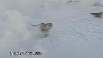 [2017][中国][记录]航拍中国 第一季[全6集][国语中字].Aerial.China.2017.WEB-DL.2160p.H265.AAC-TAG 51.70GB-4.png