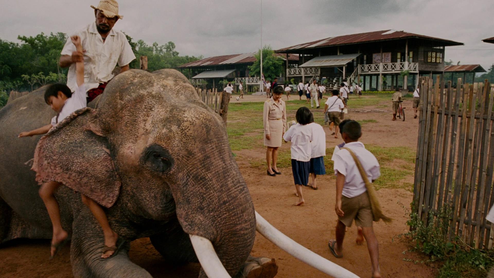 冬荫功/托尼佳新冒险 [泰语+粤语 泰文+中文繁体字幕+章节].The.Protector.2005.1080p.BluRay.Remux.AVC.FLAC7.1-TAG 15.62GB-2.jpg