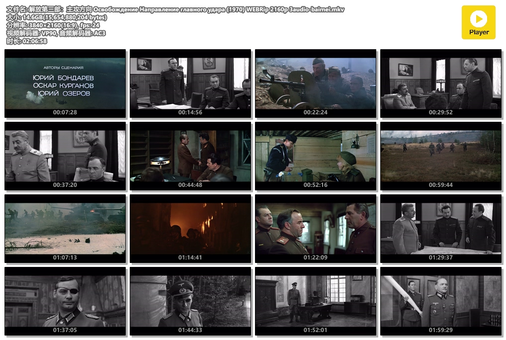 解放3：主攻方向 [国语/俄语][中字].Освобождение.Направление.главного.удара.1970.WEBRip.2160p.x264.3Audio.AC3-TAG 14.58GB-2.jpg