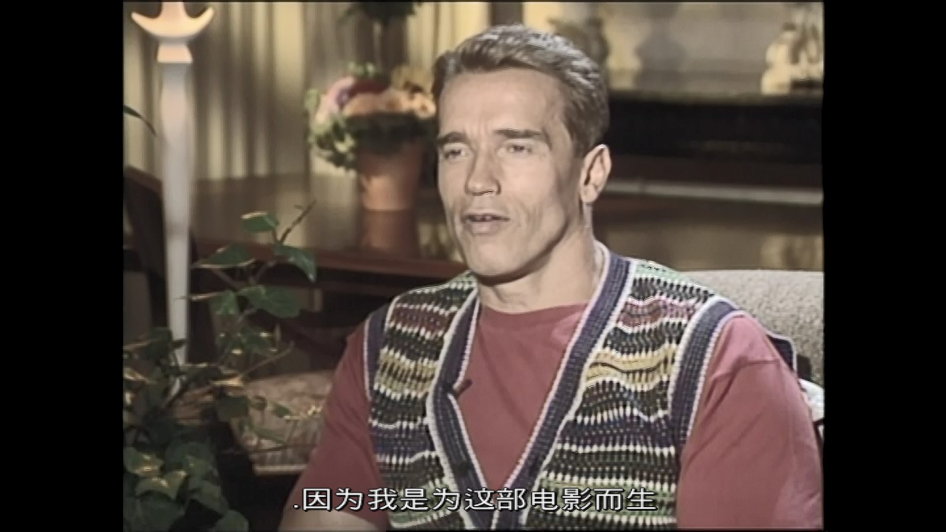真实的谎言/魔鬼大帝：真实的谎言 [西班牙版 DIY四国配+正片简繁国配.双语特效字幕+全花絮中字].True.Lies.1994.ESP.Blu-ray.1080p.AVC.DTS-HD.MA.5.1-TAG 46.82GB-16.jpg