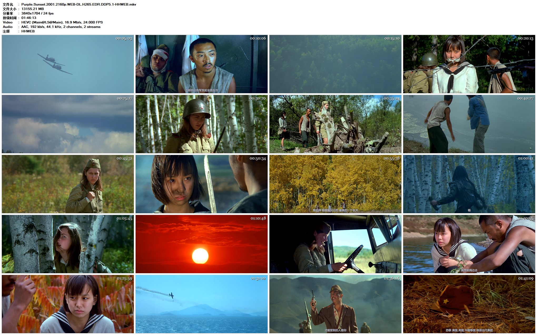 紫日 [4K 高码][纪念-918事变].Purple.Sunset.2001.2160p.WEB-DL.H265.EDR.DDP5.1-TAG 12.85GB-2.jpg