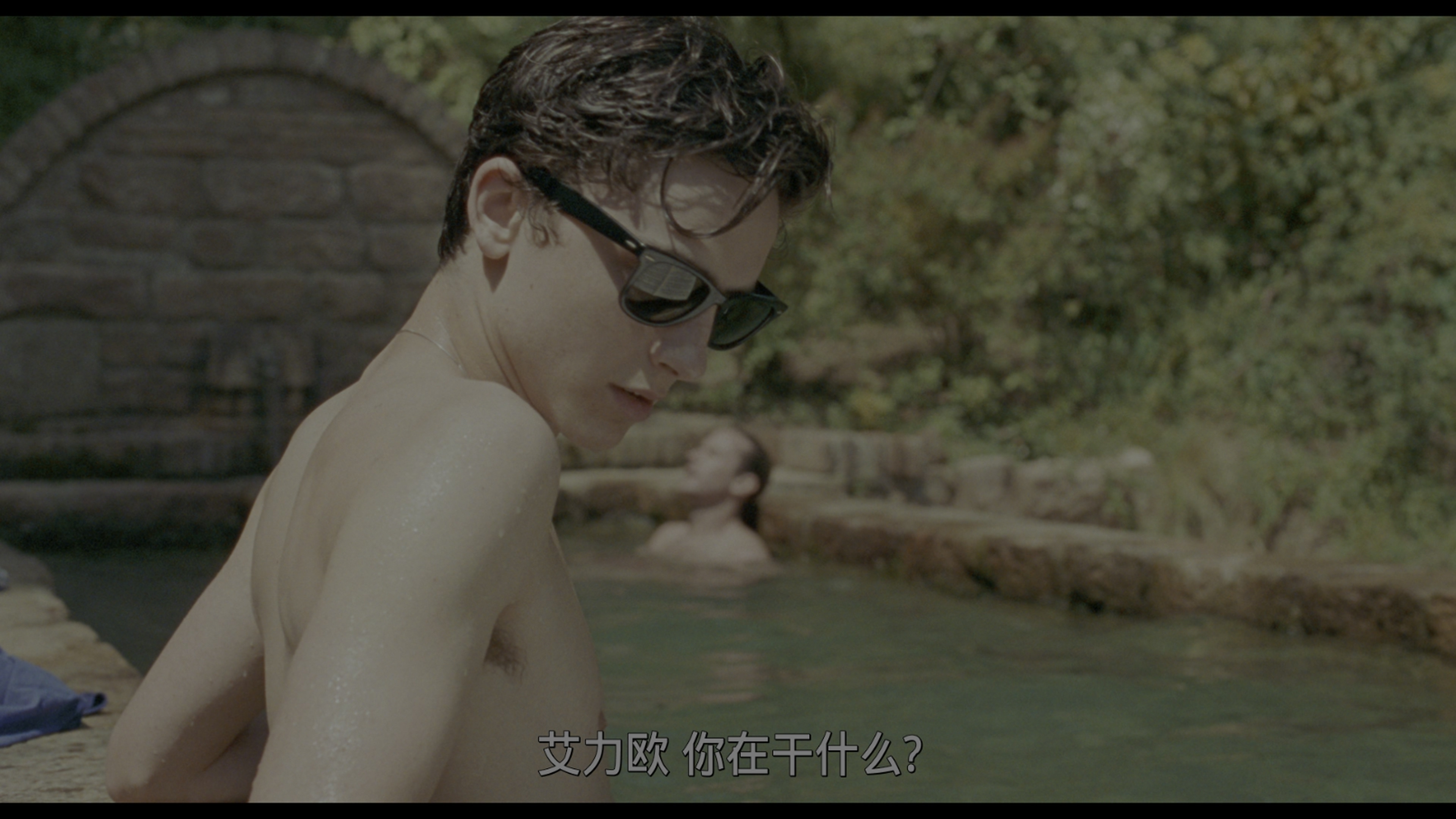 请以你的名字呼唤我/以你的名字呼唤我(港/台)/以你的名义呼唤我/唤吾汝名 [DIY官译简繁+双语字幕].Call.Me.by.Your.Name.2017.2160p.UHD.Blu-ray.HEVC.DTS-HD.MA.5.1-TAG 81.96GB-7.jpg