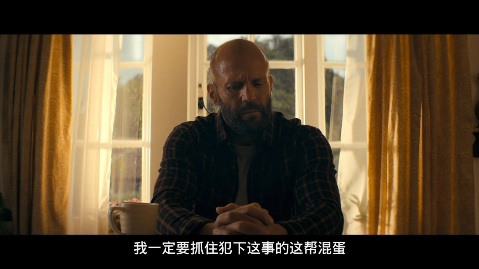 养蜂人/蜂刑者(台)/蜂神恶杀(港) [UHD原盘 DIY中影次世代国语 简繁/双语特效字幕].The.Beekeeper.2024.2160p.UHD.ITA.BLu-ray.HEVC.TrueHD7.1.Atmos-TAG 75.28GB-4.jpg