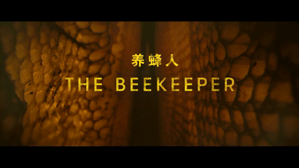 养蜂人/蜂刑者(台)/蜂神恶杀(港) [UHD原盘 DIY中影次世代国语 简繁/双语特效字幕].The.Beekeeper.2024.2160p.UHD.ITA.BLu-ray.HEVC.TrueHD7.1.Atmos-TAG 75.28GB-9.gif