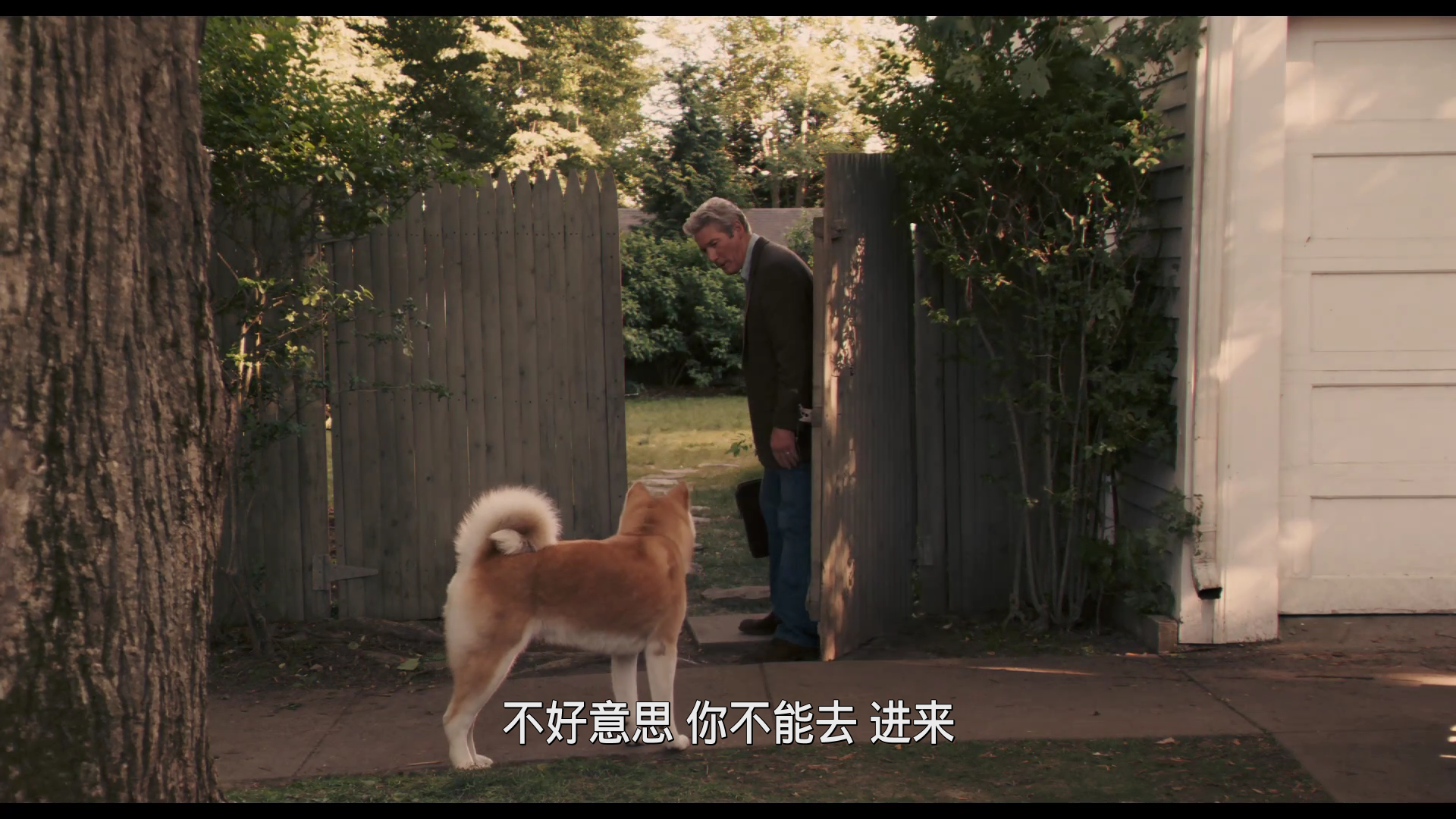 忠犬八公的故事/秋田犬八千(港)/忠犬传奇/忠犬小八(台) [BD原盘DIY 高码音轨 简繁/简繁英双语特效五字幕 菜单修改].Hachi.A.Dog's.Tale.2009.1080p.Blu-ray.AVC.DTS-HD.MA.5.1-TAG 24.56GB-3.png