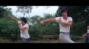 虎豹龙蛇鹰/迷拳三十六招 [二合一原盘/国语].7.Grandmasters.1977.The.36.Deadly.Styles.1982.1080p.Blu-ray.AVC.LPCM.1.0-TAG 45.56GB-2.png