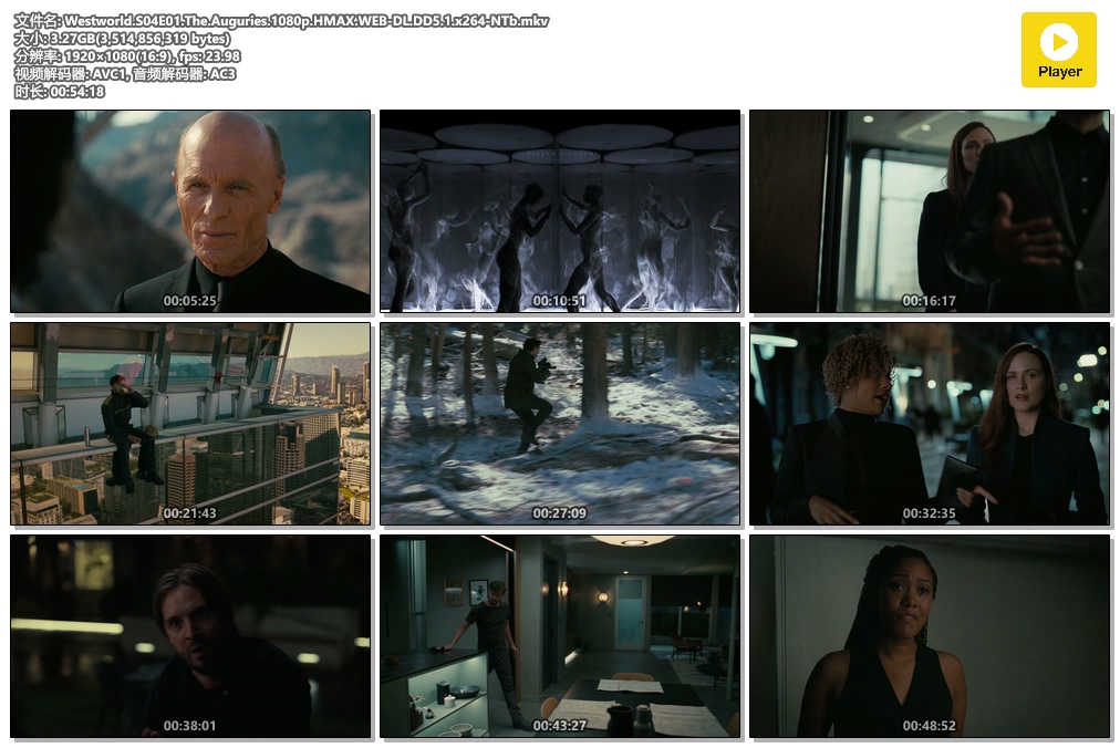 西部世界 第四季 [全8集][官方多国字幕].Westworld.S04.2022.1080p.HMAX.WEB-DL.DD5.1.x264-TAG 26.45GB-5.jpg