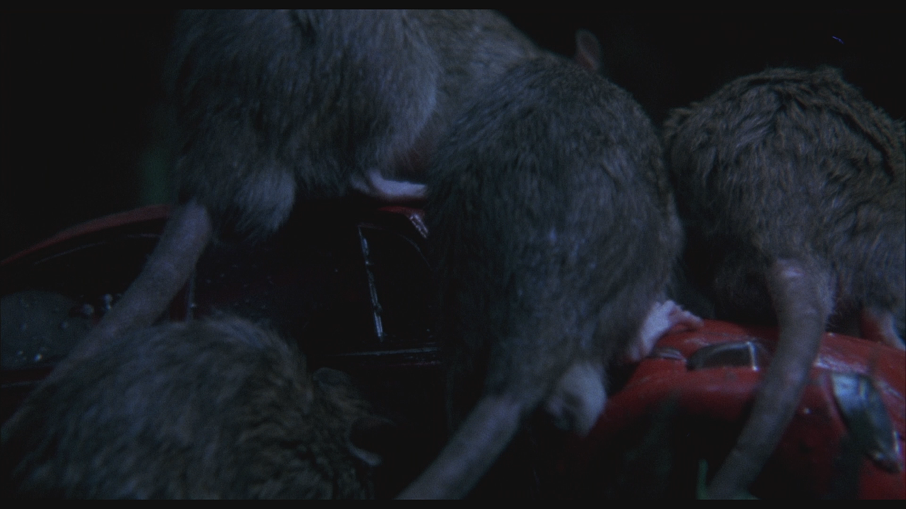 猛鼠食人城.The.Food.of.the.Gods.1976.1080p.BluRay.Remux.DTS-HD.MA.2.0@ 17.97GB-6.png