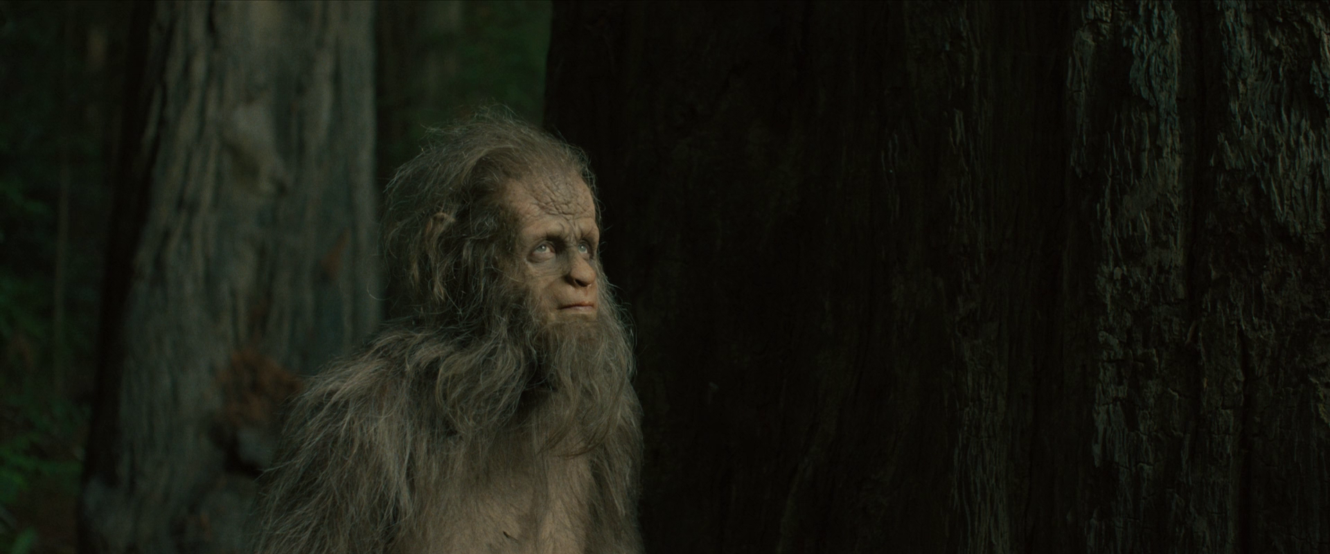 大脚野人日落 / 野人的夕阳 / 大脚怪日落.Sasquatch.Sunset.2024.1080p.WEB-DL.DDP5.1.H264-AOC 6.18GB-5.png