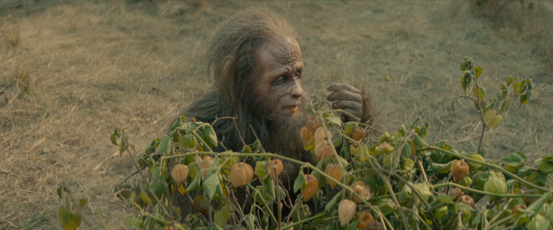大脚野人日落 / 野人的夕阳 / 大脚怪日落.Sasquatch.Sunset.2024.1080p.WEB-DL.DDP5.1.H264-AOC 6.18GB-6.png