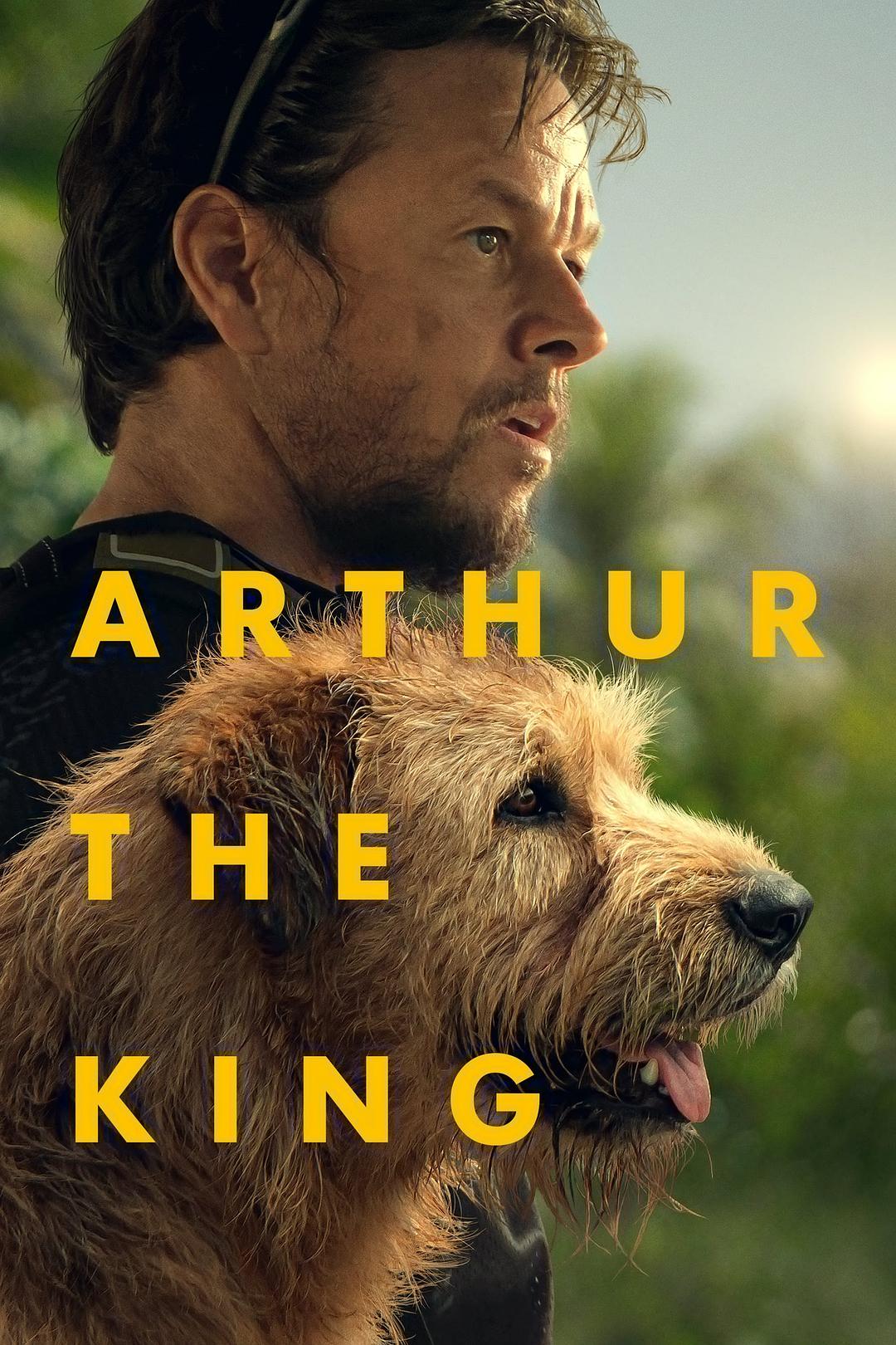 冠军亚瑟/极限长征(台)/铁人狗狗(港)/王者亚瑟.Arthur.the.King.2024.1080p.BluRay.Remux.TrueHD.7.1.Atmos 22.97GB-1.jpg