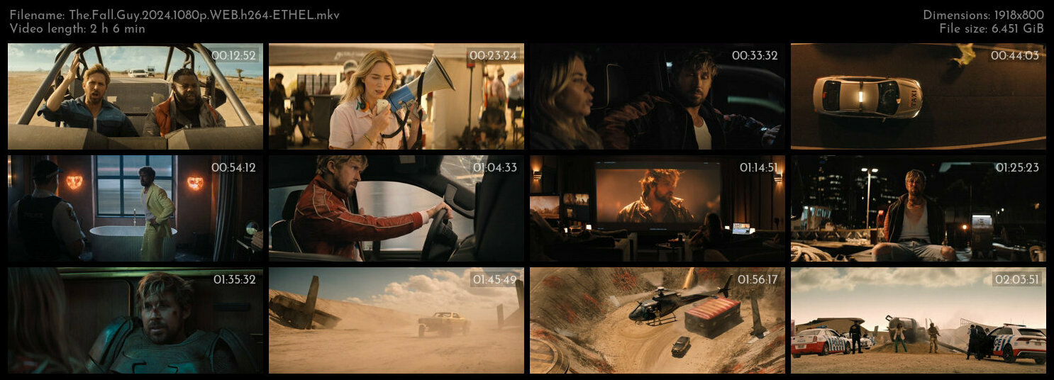 特技狂人 / 特技玩家(台) / 特技猎人 / 坠落的人.The.Fall.Guy.2024.1080p.WEB.h264-ETHEL 6.49GB-2.jpg