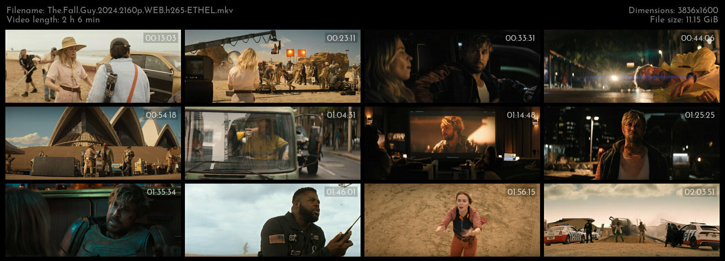 特技狂人 / 特技玩家(台) / 特技猎人 / 坠落的人.The.Fall.Guy.2024.2160p.WEB.h265-ETHEL 11.22GB-2.jpg