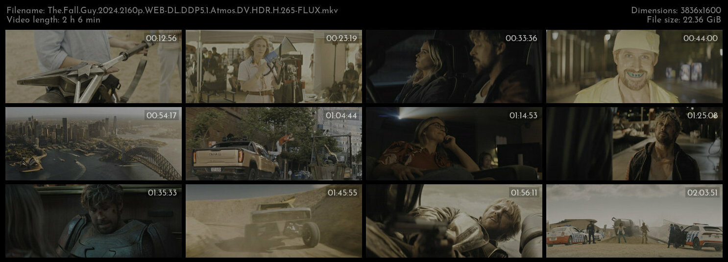 特技狂人 / 特技玩家(台) / 特技猎人 / 坠落的人.The.Fall.Guy.2024.2160p.WEB-DL.DDP5.1.Atmos.DV.HDR.H.265-FLUX 22.36GB-2.jpg