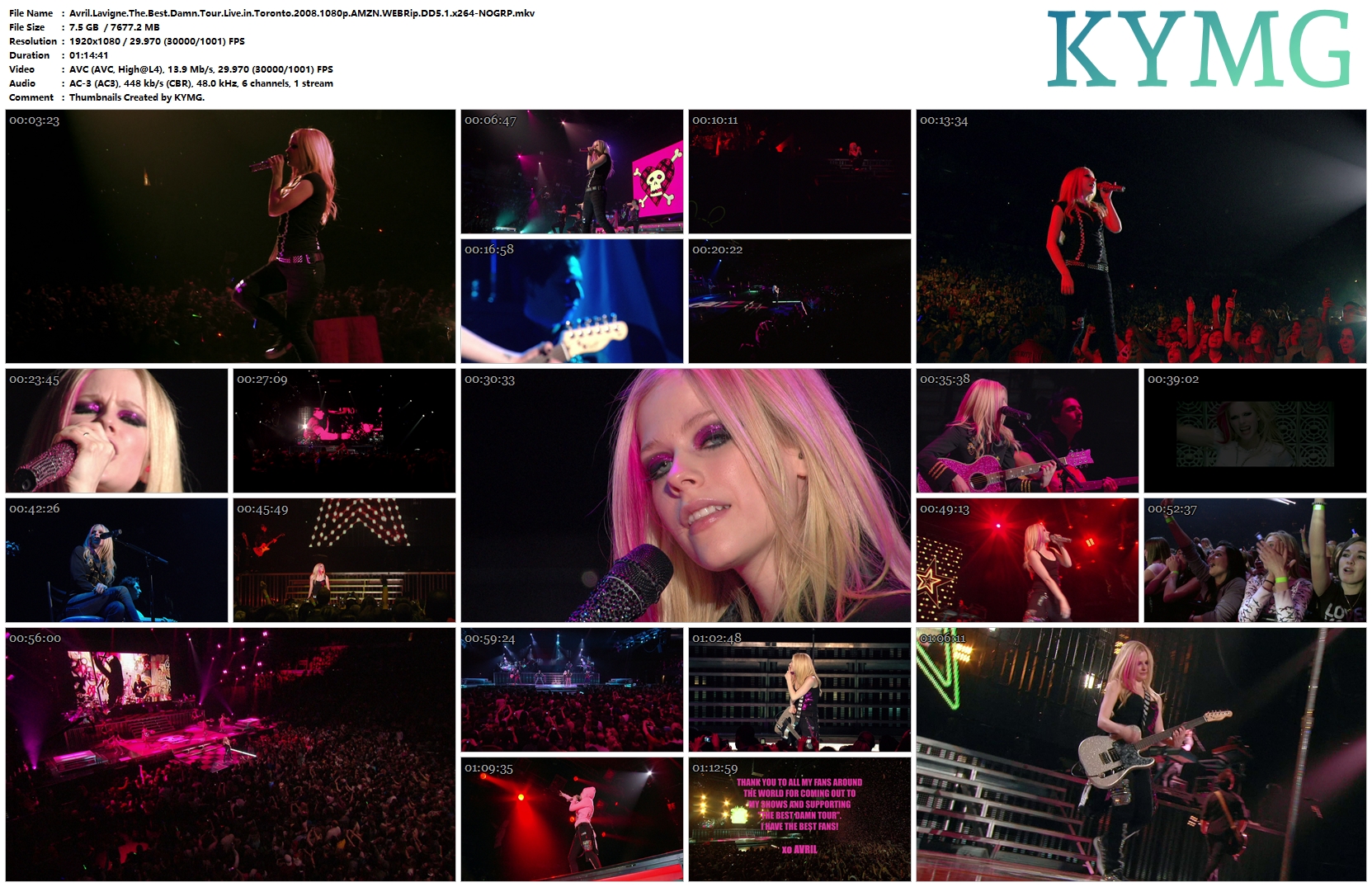 艾薇儿2008年美丽坏东西多伦多演唱会.Avril.Lavigne.The.Best.Damn.Tour.Live.in.Toronto.2008.1080p.AMZN.WEBRip.DD5.1.x264-TAG 7.5GB-2.jpg