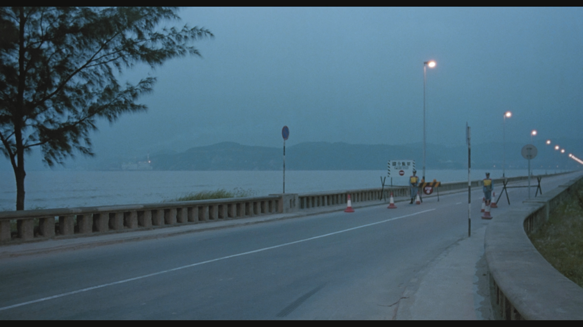 力王 (英版88 Films) [原盘 DIY 国粤双语 国配/简繁中字].Story.of.Ricky.1991.Blu-ray.1080p.AVC.DTS-HD.MA.5.1-TAG 41.29GB-2.png