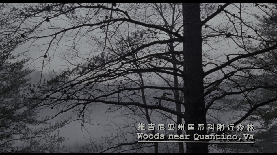 沉默的羔羊 [DIY 四国配/东影新配上译简繁特效/双语特效字幕].The.Silence.of.the.Lambs.1991.UHD.Blu-ray.2160p.HEVC.DTS-HDMA5.1-TAG 85.74GB-3.png