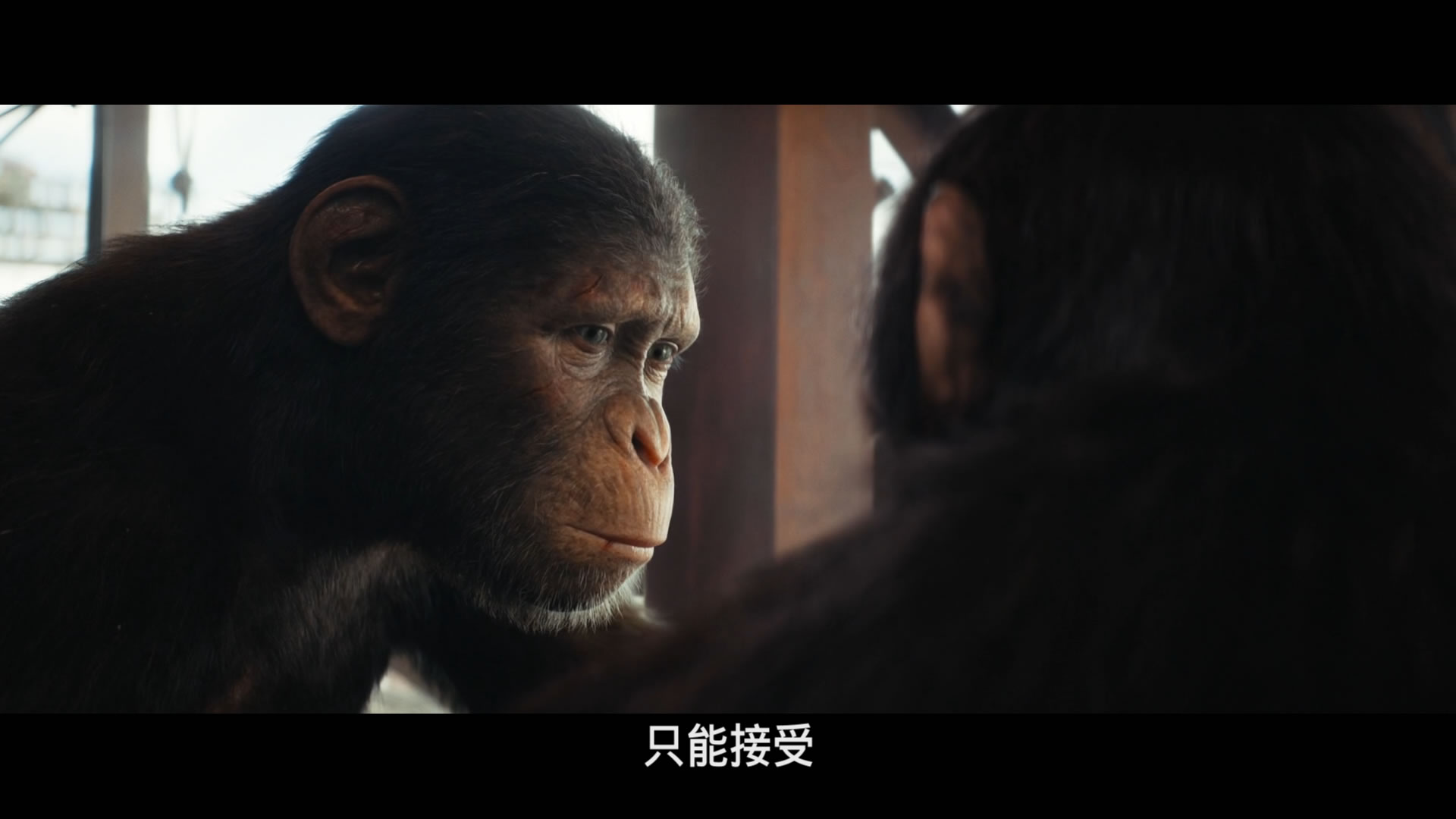 猩球崛起：新世界/猩球崛起：王国诞生(台)/猩球崛起4/猿人争霸战：猩凶帝国(港) [DIY 公映国语 简繁英 双语/国配特效字幕].Kingdom.Of.The.Planet.Of.The.Apes.2024.1080p.iT.WEB-DL.H264.DDP5.1.Atmos-TAG 8.39GB-12.jpg