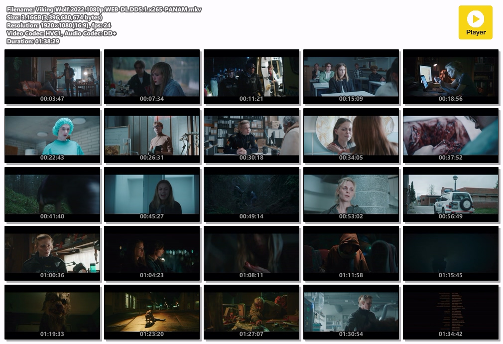 维京恶狼 / 维京狼.Viking.Wolf.2022.1080p.WEB-DL.DD5.1.x265-PANAM 3.16GB-2.jpg
