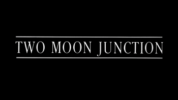 偷月情/激情交叉点 [简繁英字].Two.Moon.Junction.1988.BluRay.REMUX.1080p.AVC.LPCM2.0-TAG 21.05GB-2.jpg